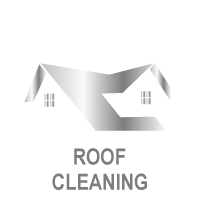 Roof Cleaning