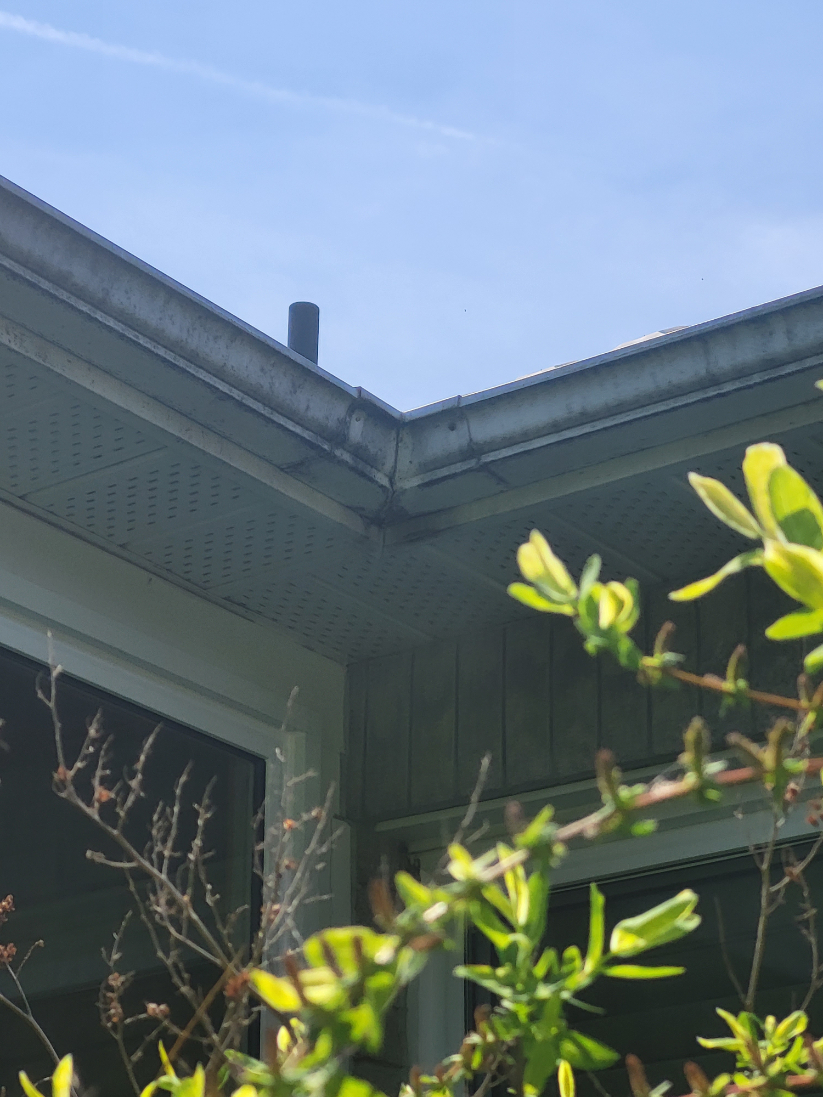 Eavestrouigh windows