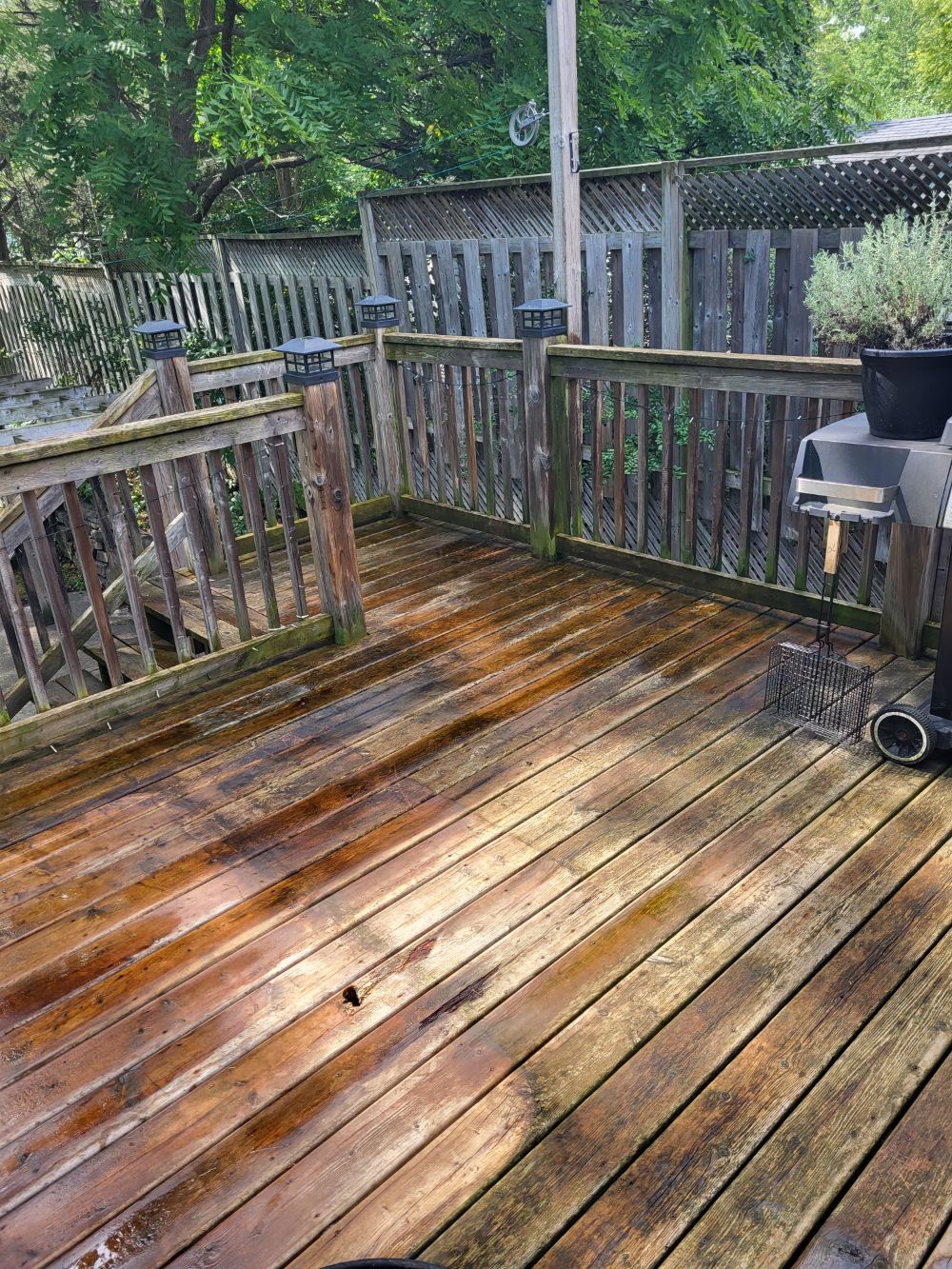 Full house cleaning in peterborough on