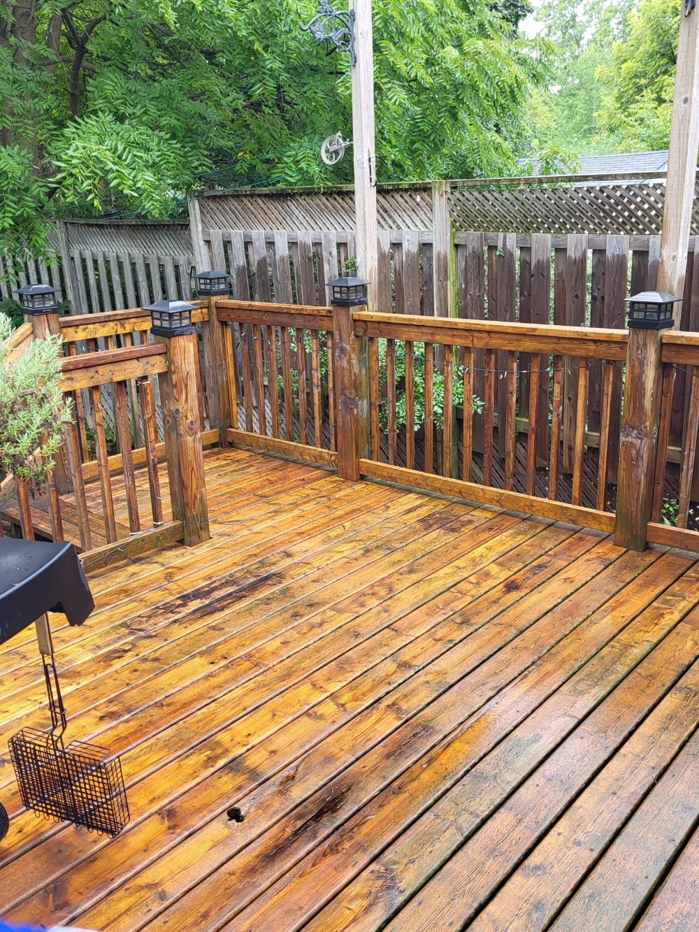 Full house cleaning in peterborough on