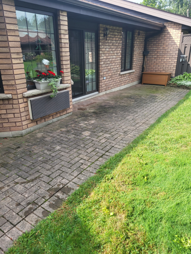 Paver cleaning