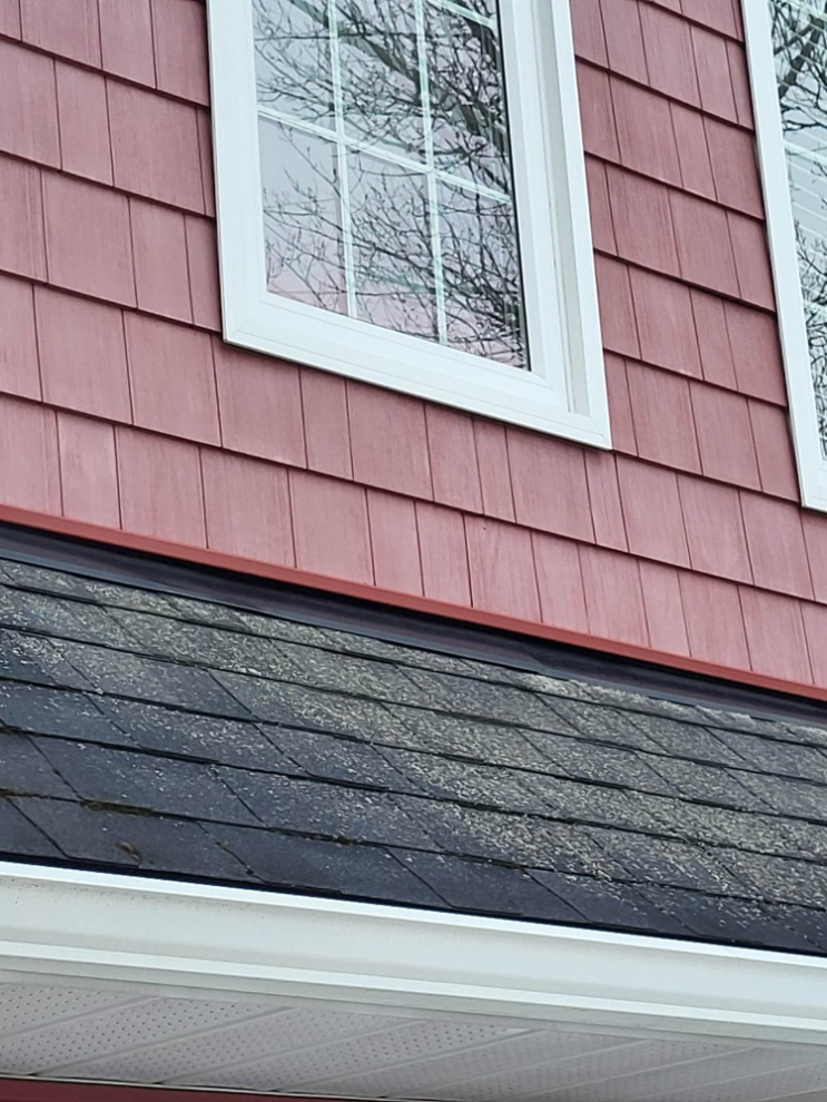 Roof Cleaning in Buckhorn, ON