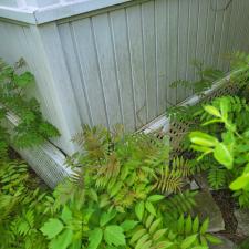 Eavestrough and Window Cleaning 2