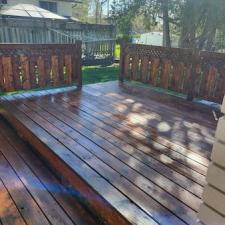 Backyard-Deck-Staining-Project-in-Trenton-Ontario 3