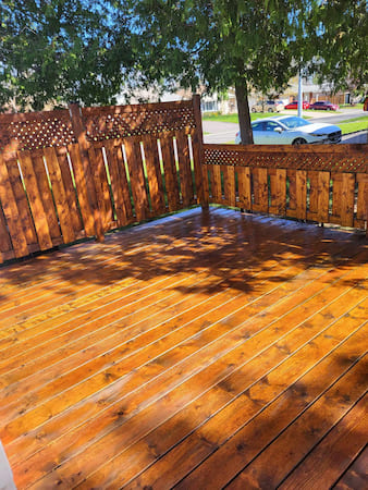 Backyard Deck Staining Project in Trenton, Ontario