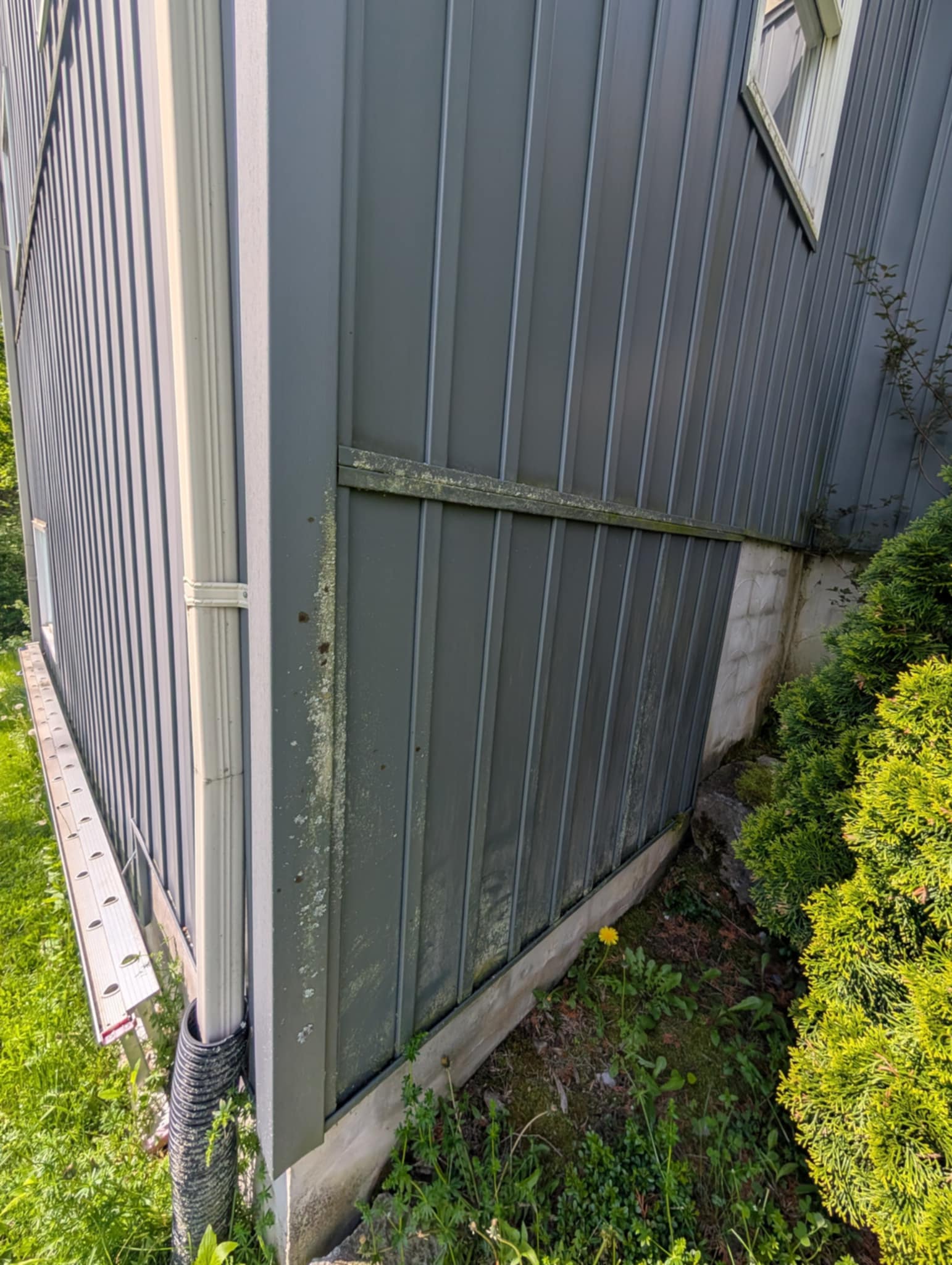 House Wash in Norwood