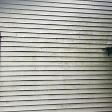 Siding-and-Roof-Cleaning-in-Buckhorn-ON 3